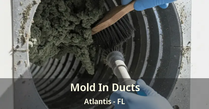 Mold In Ducts Atlantis - FL Mold In Ducts Atlantis - FL
