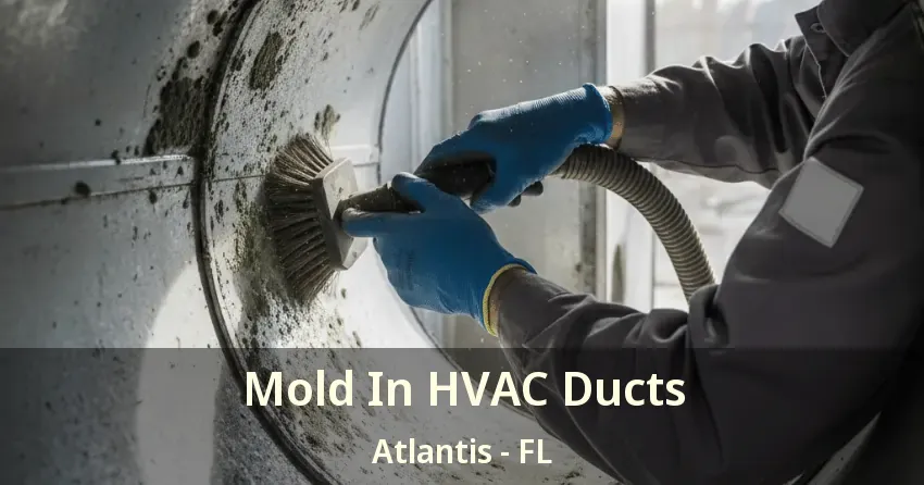 Mold In HVAC Ducts Atlantis - FL